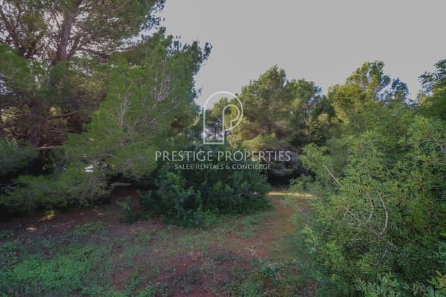 Undeveloped Land for sale in Santa Eulalia / Santa Eularia - € 1,450,000 (Ref: 9129227)