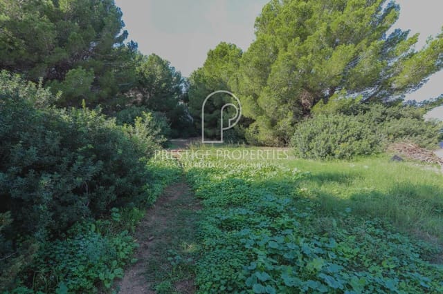 Undeveloped Land for sale in Santa Eulalia / Santa Eularia - € 1,450,000 (Ref: 9129227)