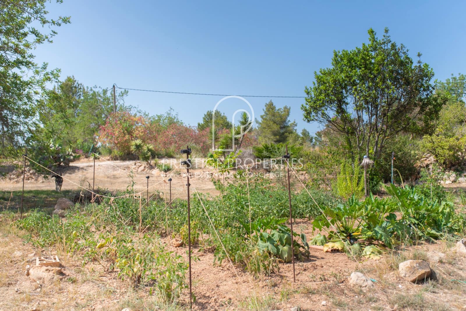 3 camera da letto Finca/Casa di Campagna in vendita in Sant Joan de Labritja - 2.300.000 € (Rif: 9191881)