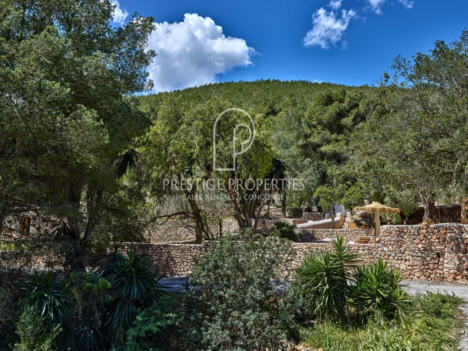 7 slaapkamer Finca/Landhuis te koop in Sant Antoni de Portmany met zwembad garage - € 5.950.000 (Ref: 9309339)