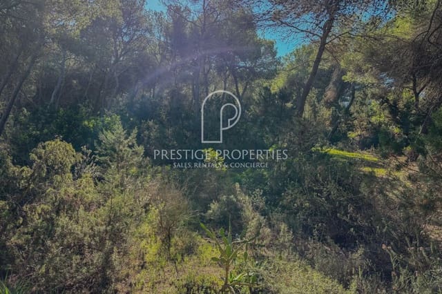 Undeveloped Land for sale in Santa Eulalia / Santa Eularia - € 1,500,000 (Ref: 9402838)