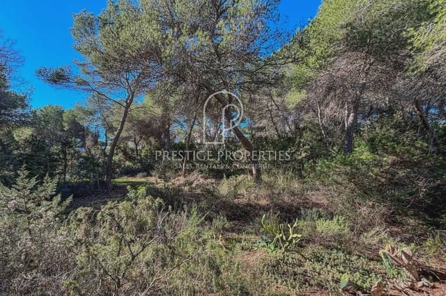 Undeveloped Land for sale in Santa Eulalia / Santa Eularia - € 1,500,000 (Ref: 9402838)