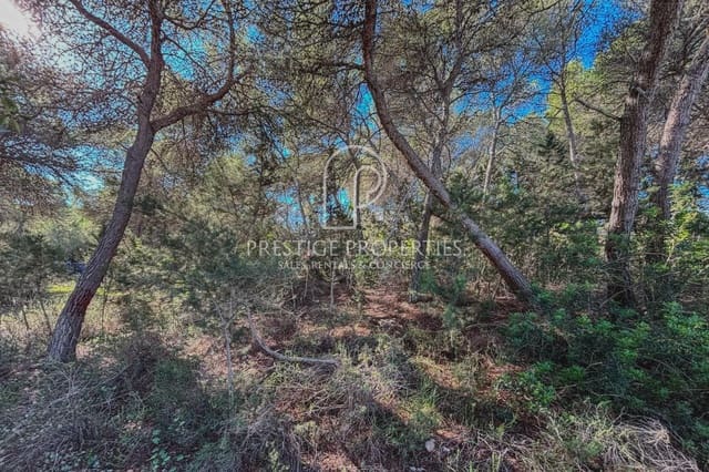 Undeveloped Land for sale in Santa Eulalia / Santa Eularia - € 1,500,000 (Ref: 9402838)