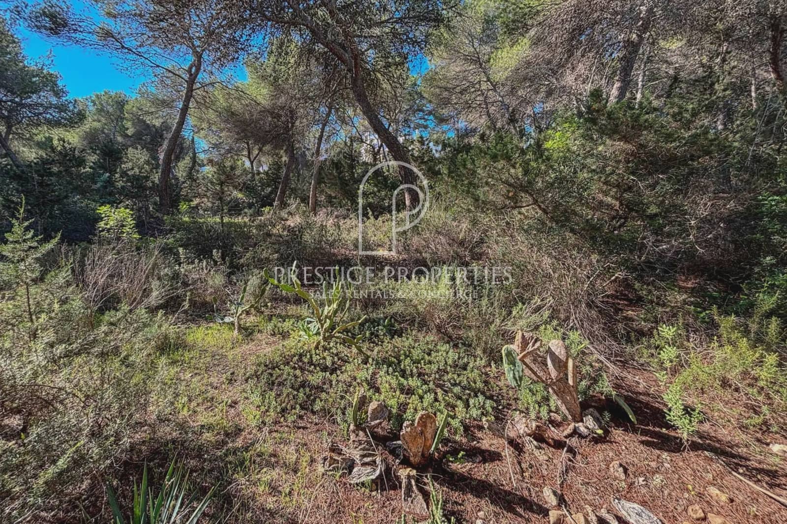 Teren niezagospodarowany na sprzedaż w Santa Eulalia / Santa Eularia - 1 500 000 € (Ref: 9402838)