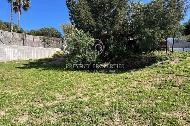 Terre non Aménagée à vendre à Santa Eulalia / Santa Eularia - 550 000 € (Ref: 9737772)