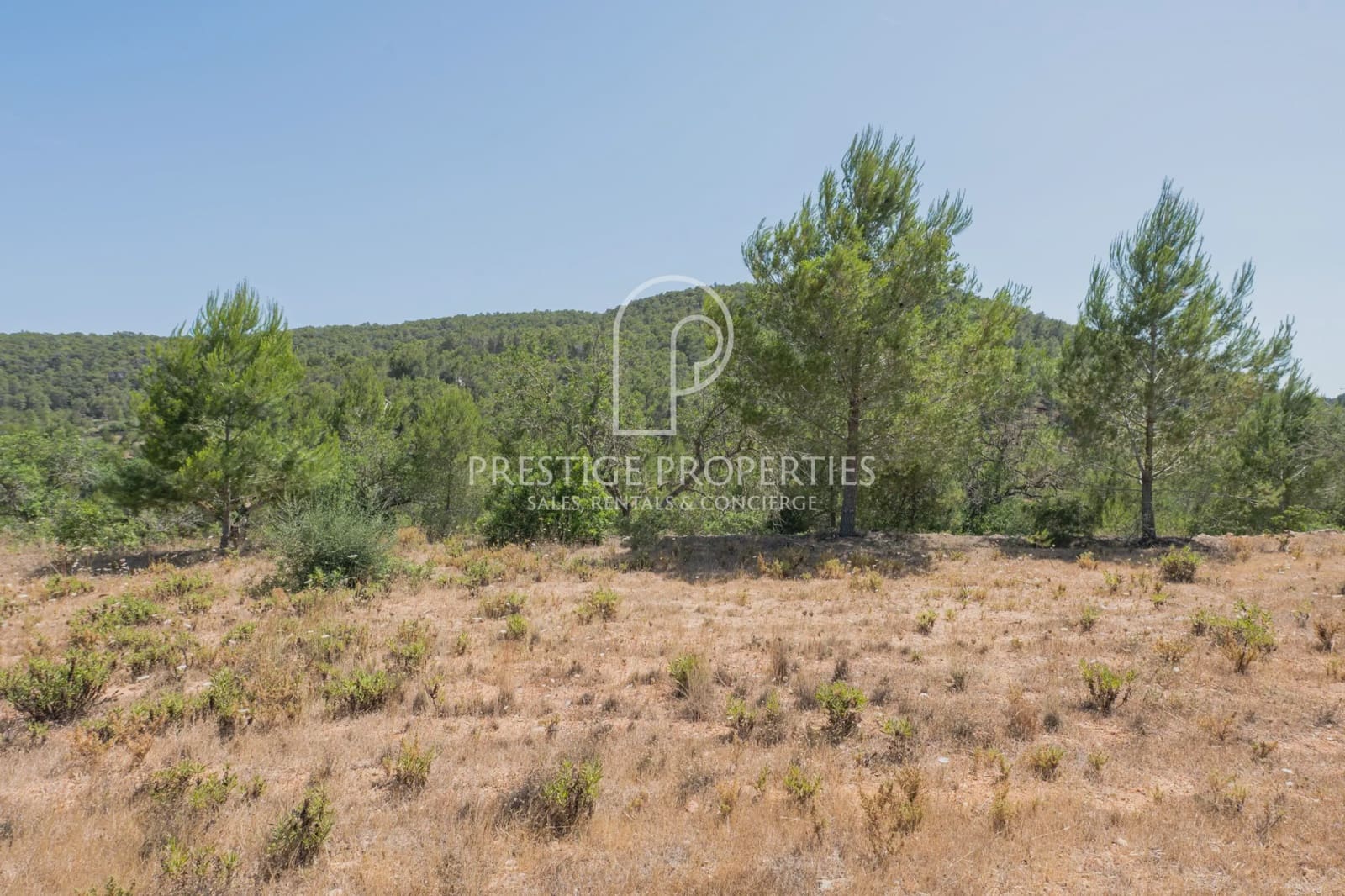 Grond te koop in Sant Antoni de Portmany - € 1.995.000 (Ref: 9926605)
