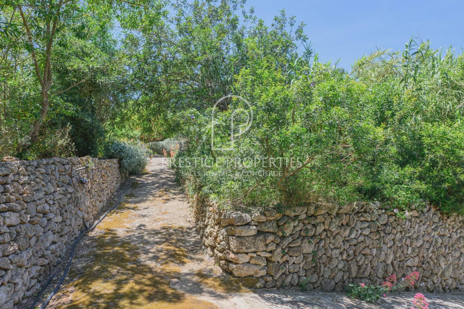 5 soveværelse Finca/Landehus til salg i Santa Eulalia / Santa Eularia med swimmingpool garage - € 3.700.000 (Ref: 9926606)