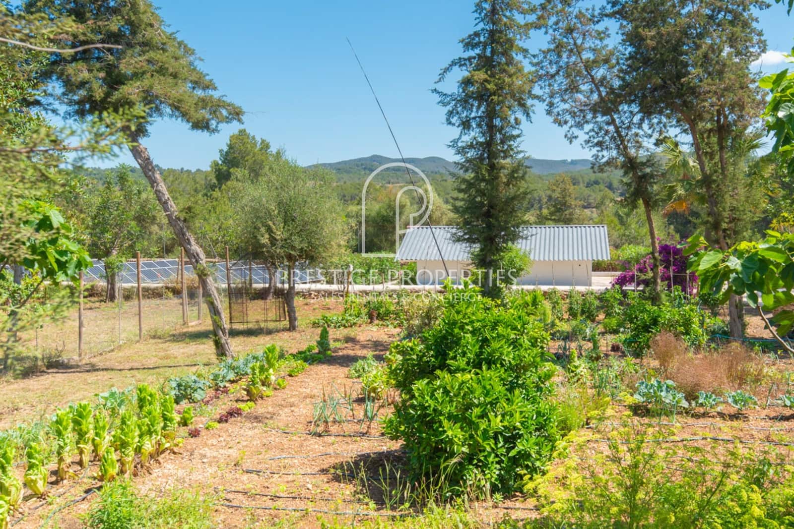 Chalet de 9 habitaciones en Santa Eulalia / Santa Eularia en venta con piscina garaje - 7.500.000 € (Ref: 9956687)