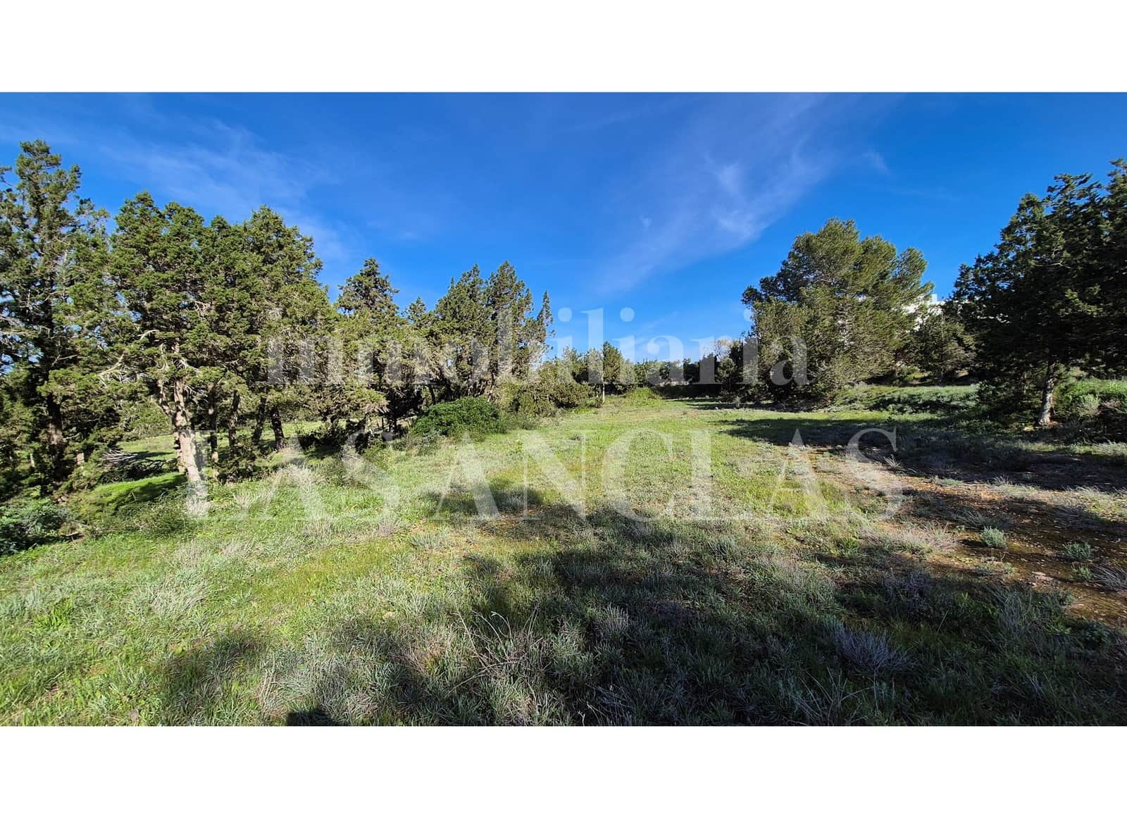 Tontti myytävänä paikassa Cala Conta - 1 800 000 € (Ref: 10014822)