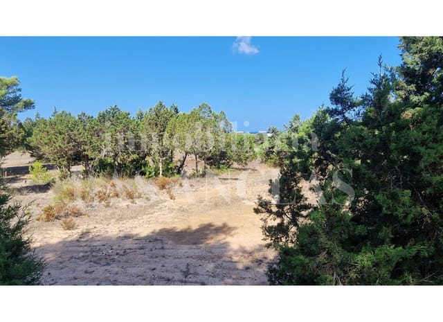 Działka budowlana na sprzedaż w San Jose / Sant Josep de Sa Talaia - 2 650 000 € (Ref: 9111655)