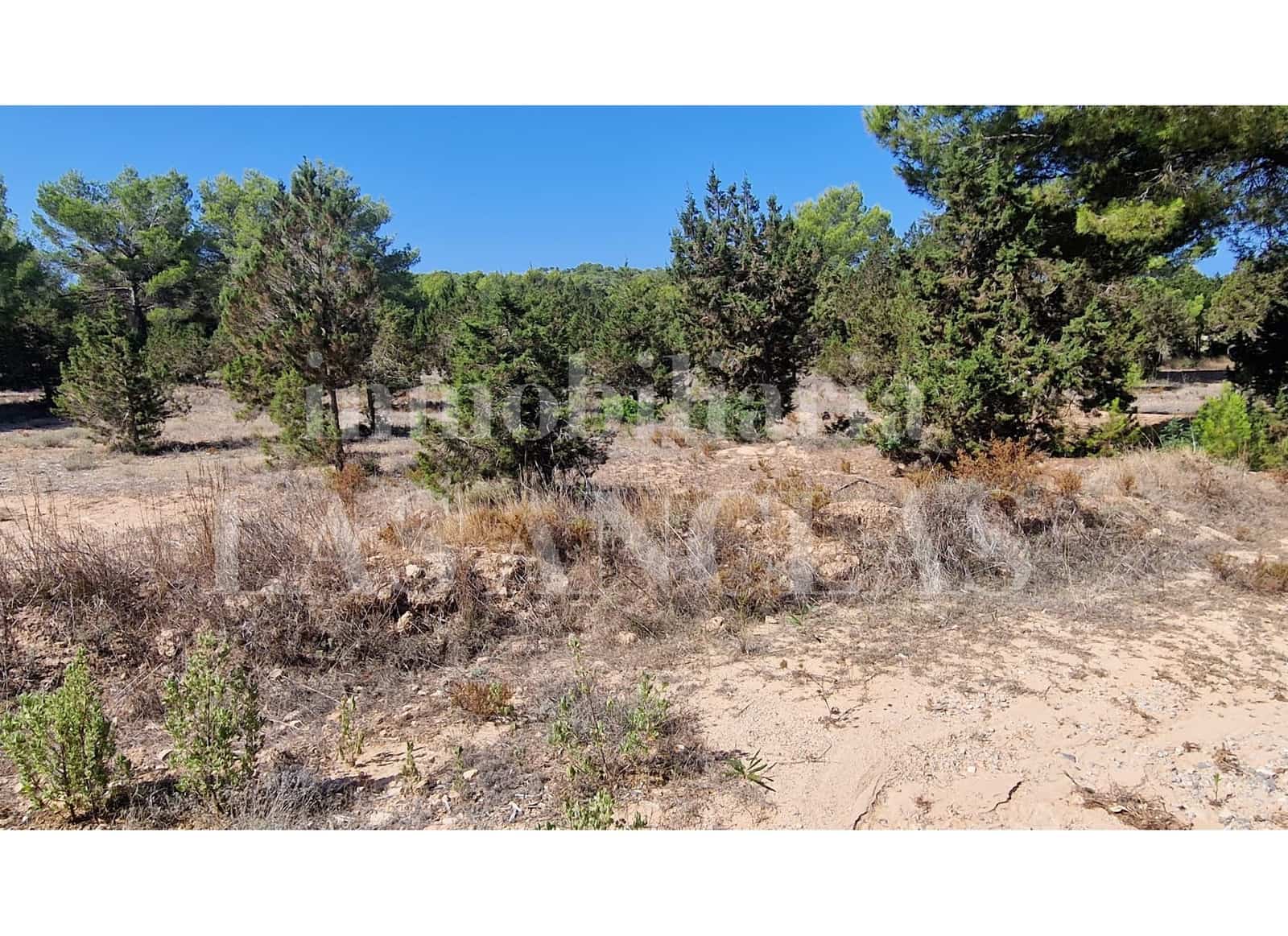 Byggegrund til salg i San Jose / Sant Josep de Sa Talaia - € 2.650.000 (Ref: 9111655)