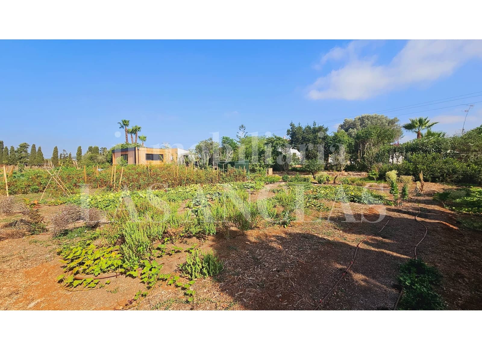 7 quarto Quinta/Casa Rural para venda em Santa Eulalia / Santa Eularia com piscina - 3 950 000 € (Ref: 9337275)