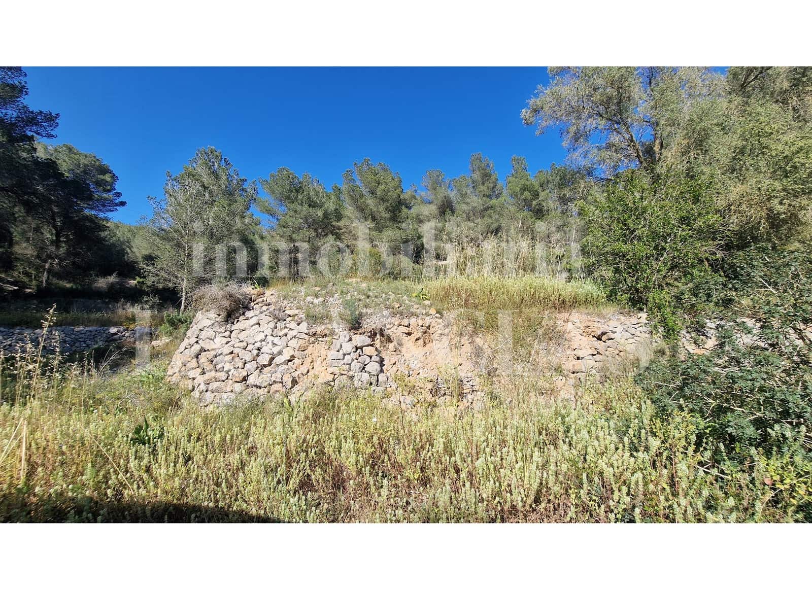 Bouwgrond te koop in San Jose / Sant Josep de Sa Talaia - € 1.390.000 (Ref: 9438457)