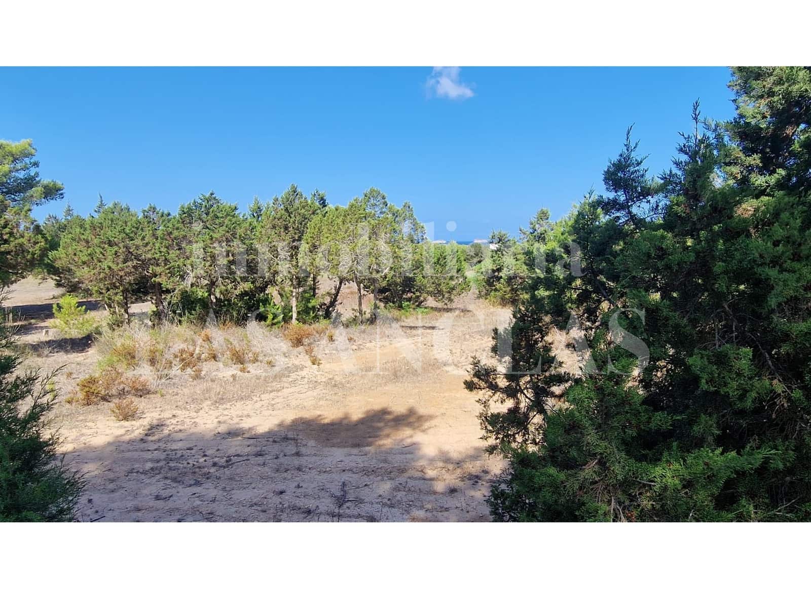 Building Plot for sale in San Jose / Sant Josep de Sa Talaia - € 2,650,000 (Ref: 9506909)