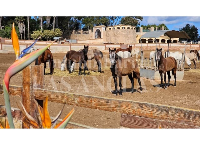 11 soveværelse Villa til salg i Sant Rafael de Sa Creu, Sant Antoni de Portmany med swimmingpool garage - € 35.000.000 (Ref: 9535238)