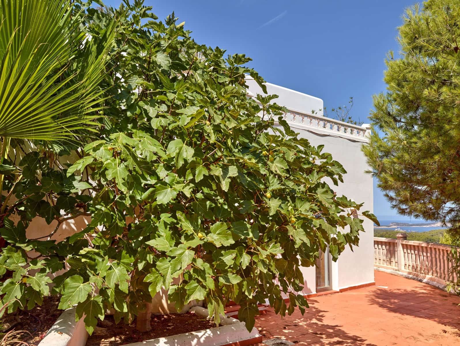 6 bedroom Villa for sale in Cala Bassa with pool garage - € 3,150,000 (Ref: 10034845)