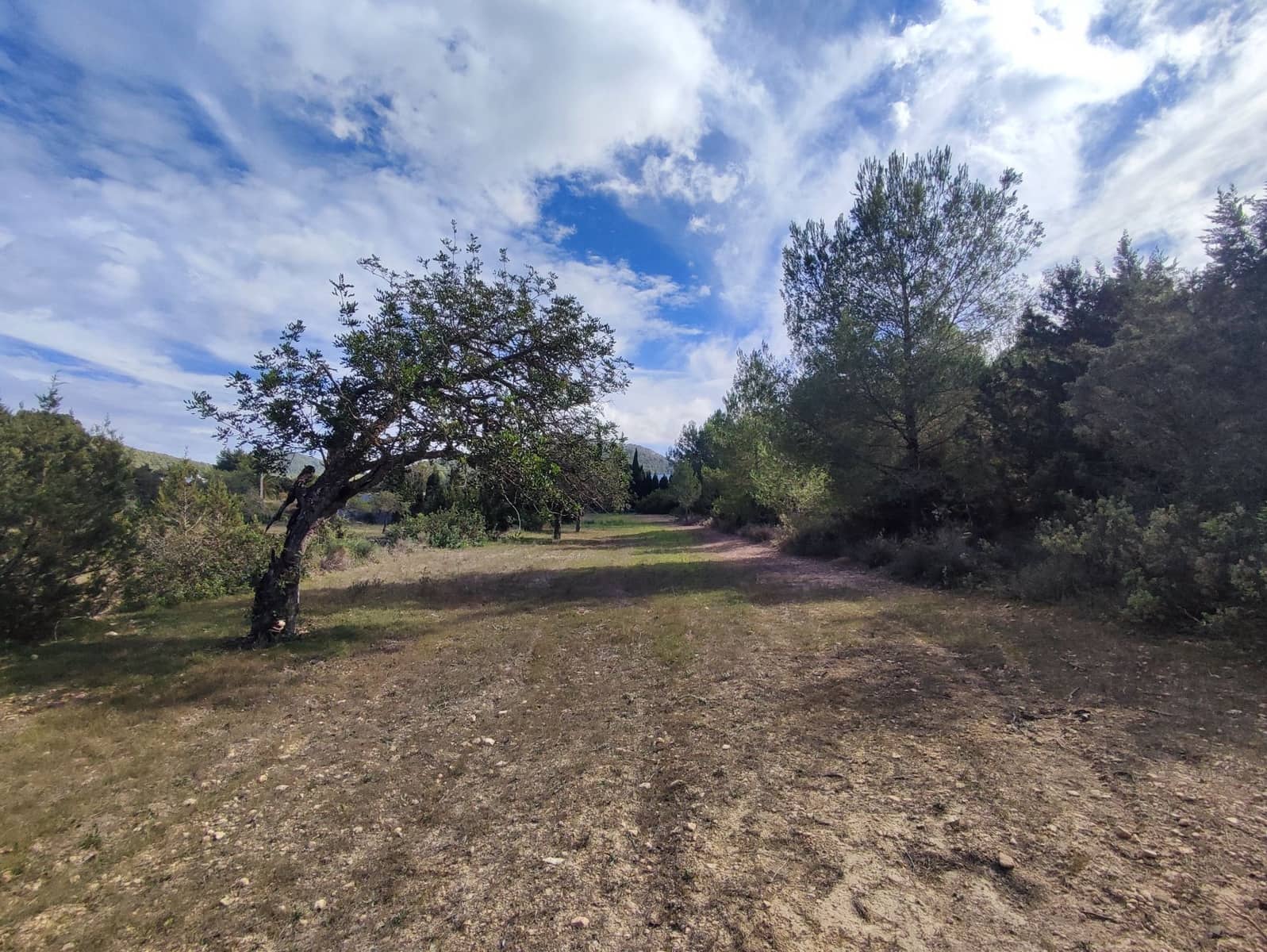 4 bedroom Villa for sale in San Jose / Sant Josep de Sa Talaia - € 1,500,000 (Ref: 7886755)