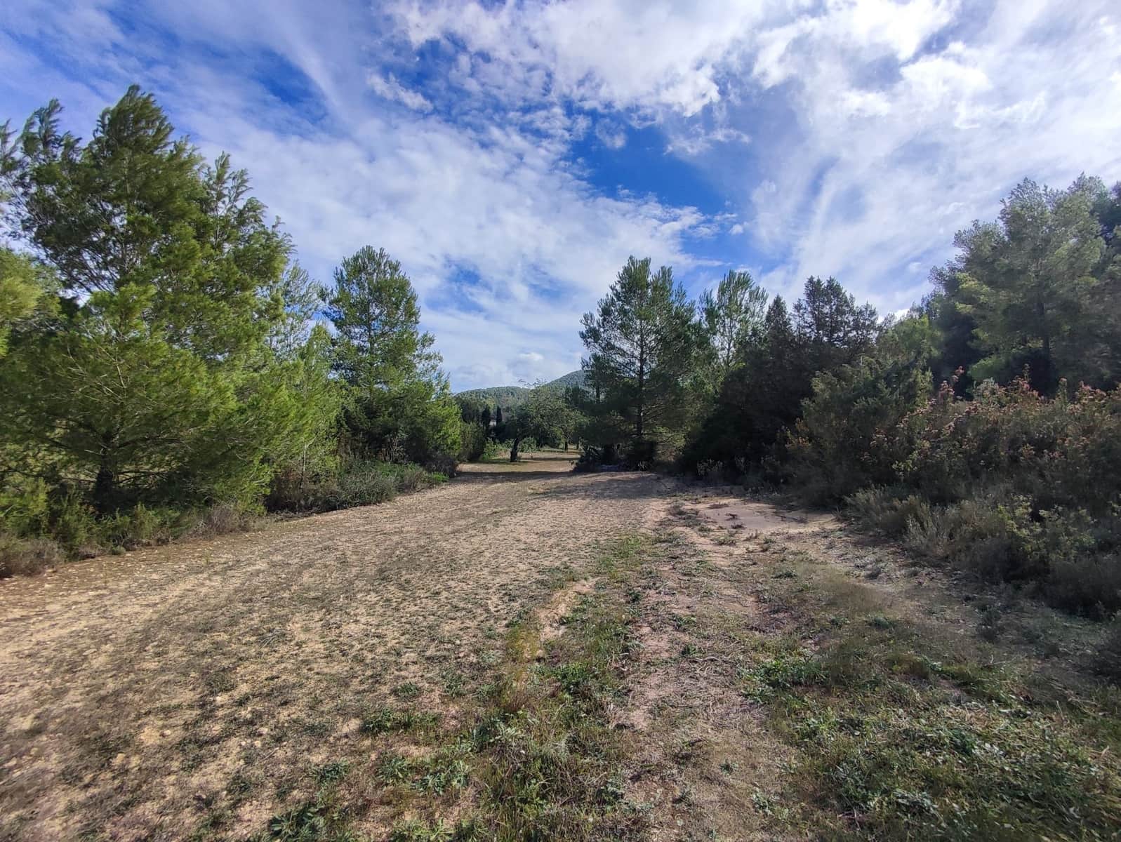 4 bedroom Villa for sale in San Jose / Sant Josep de Sa Talaia - € 1,500,000 (Ref: 7886755)