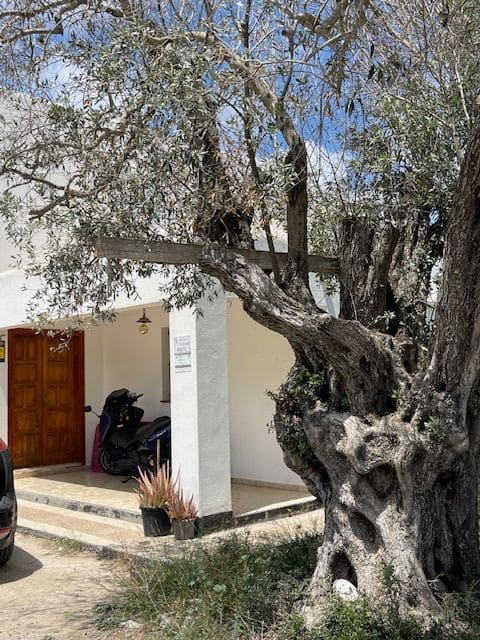 3 chambre Villa/Maison à vendre à San Jose / Sant Josep de Sa Talaia avec garage - 2 000 000 € (Ref: 8490700)