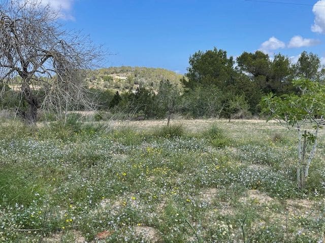 3 chambre Villa/Maison à vendre à San Jose / Sant Josep de Sa Talaia avec garage - 2 000 000 € (Ref: 8490700)