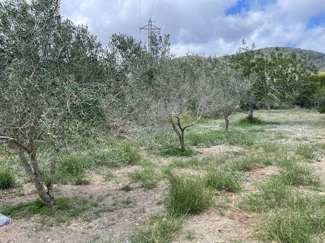 3 chambre Villa/Maison à vendre à San Jose / Sant Josep de Sa Talaia avec garage - 2 000 000 € (Ref: 8490700)