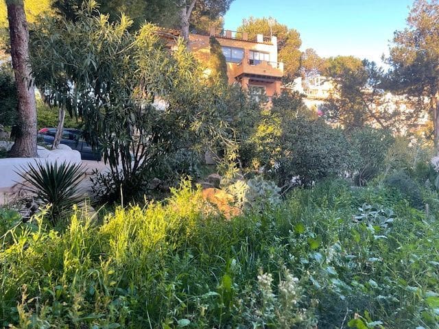 1 soveværelse Lejlighed til salg i Cala Vadella - € 260.000 (Ref: 8766427)