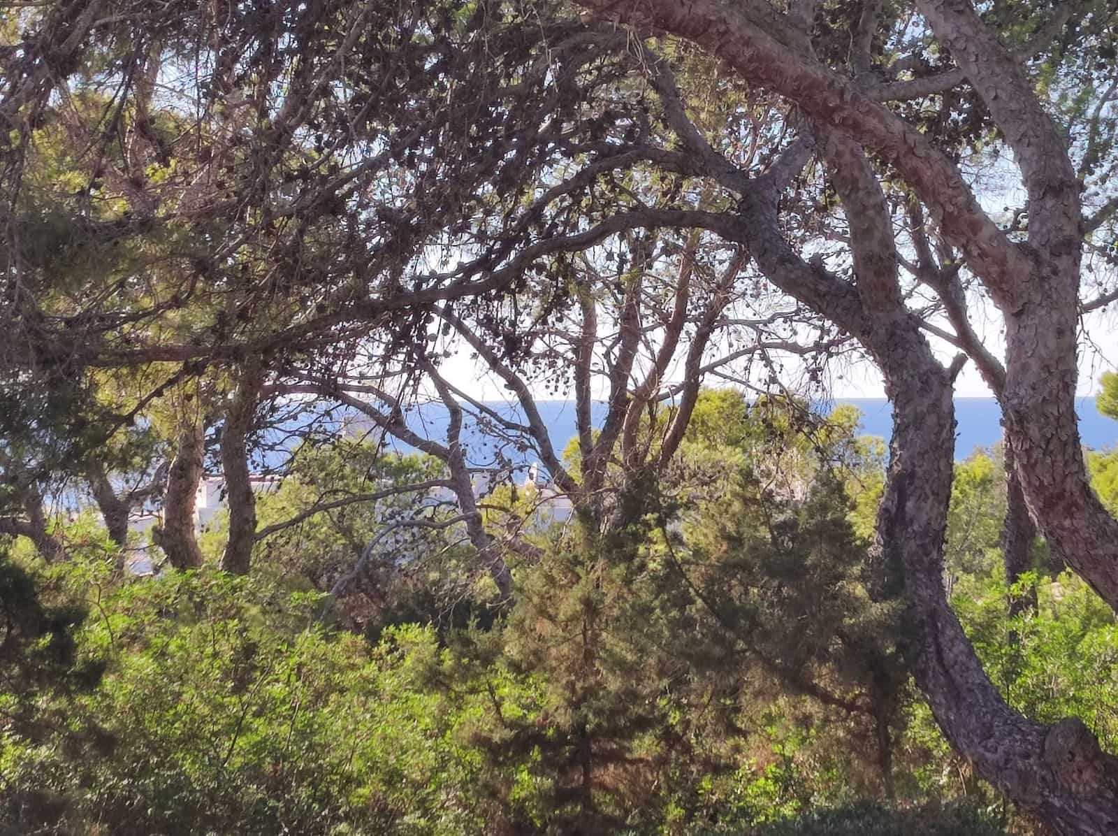 4 bedroom Villa for sale in San Jose / Sant Josep de Sa Talaia with pool garage - € 1,850,000 (Ref: 9294149)