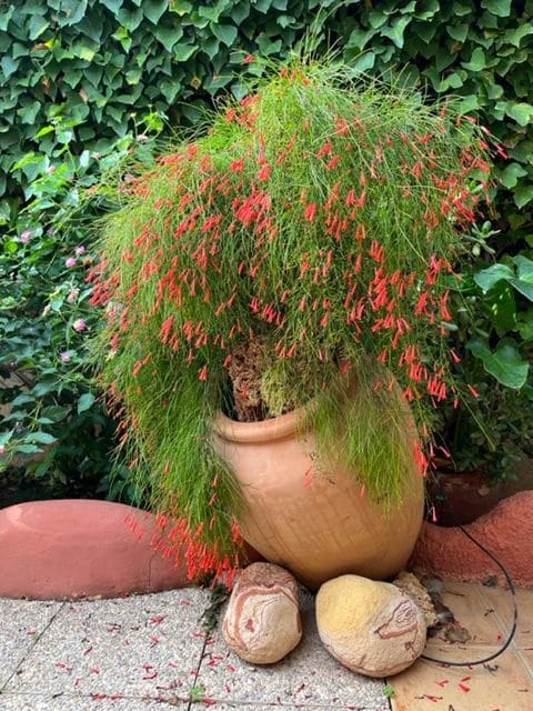 4 bedroom Villa for sale in Calpe / Calp with pool garage - € 999,999 (Ref: 7935266)