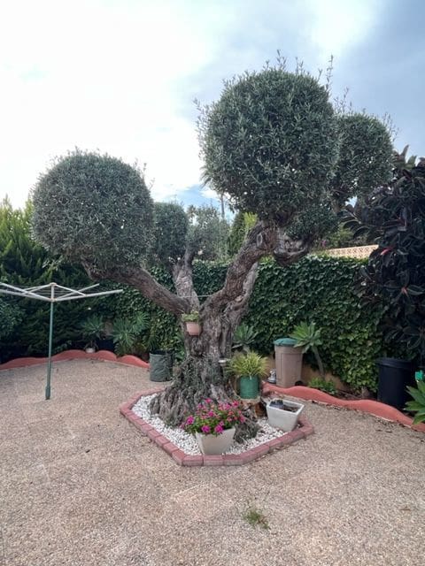 4 bedroom Villa for sale in Calpe / Calp with pool garage - € 999,999 (Ref: 7935266)