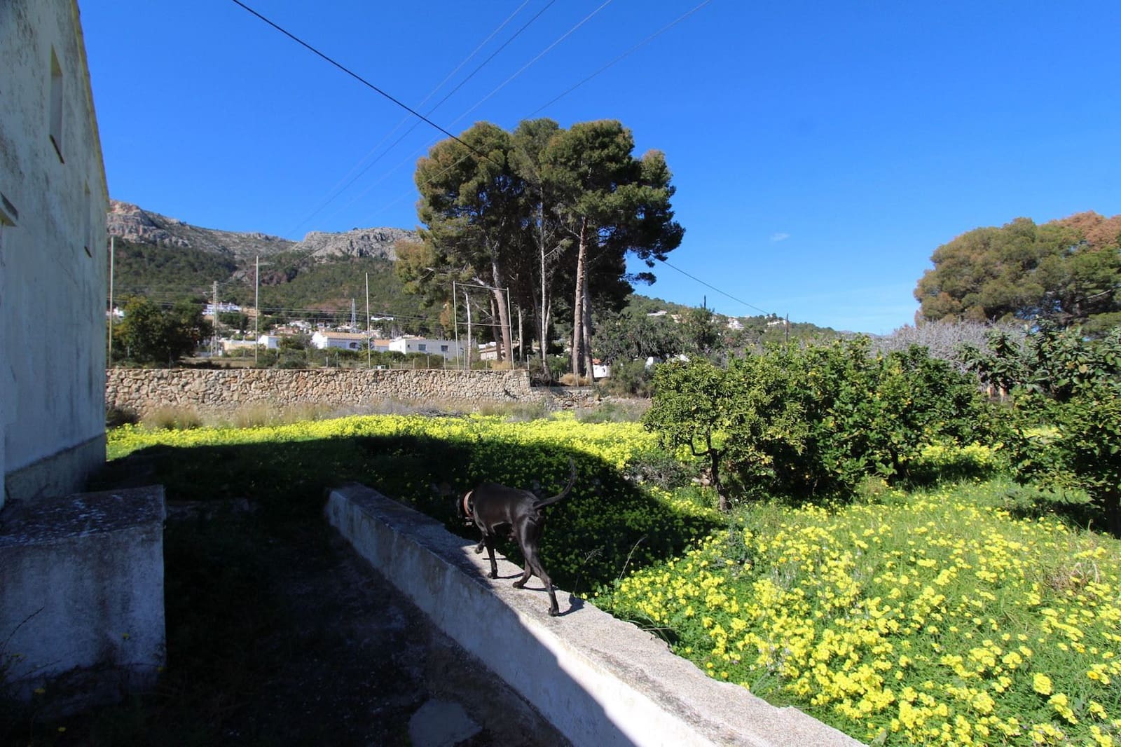 4 chambre Finca/Maison de Campagne à vendre à Calpe / Calp - 399 000 € (Ref: 8942710)