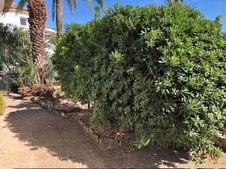 16 soverom Hotell til salgs i Cometa - Carrió, Calpe / Calp med svømmebasseng garasje - € 1 995 000 (Ref: 9263972)