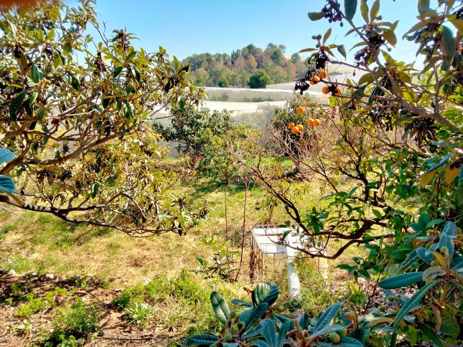 3 soverom Finca/Herregård til salgs i Callosa d'En Sarria med garasje - € 268 000 (Ref: 9710979)