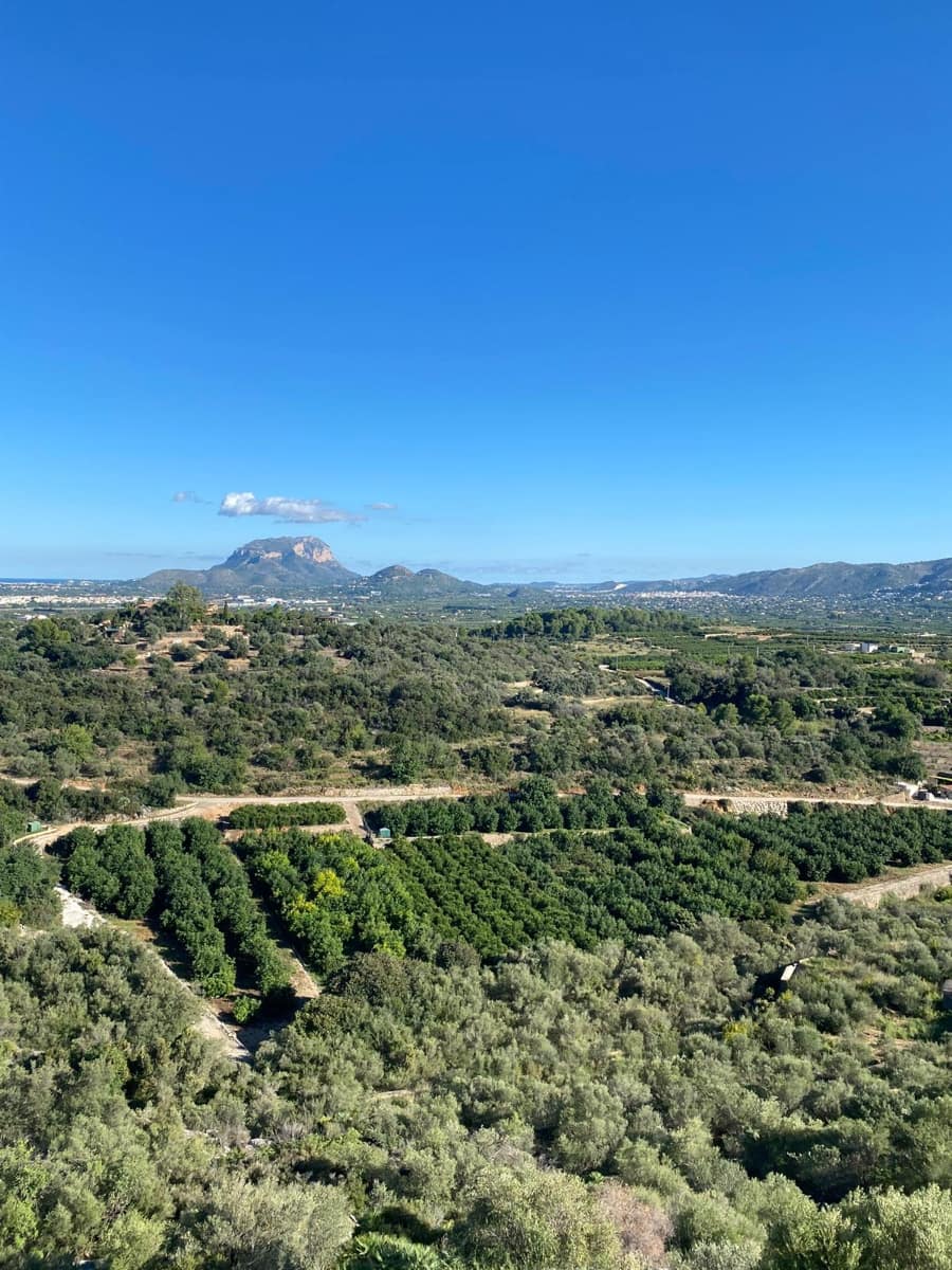 Bar/Restaurante de 2 habitaciones en Sanet i Negrals en venta - 550.000 € (Ref: 9357445)