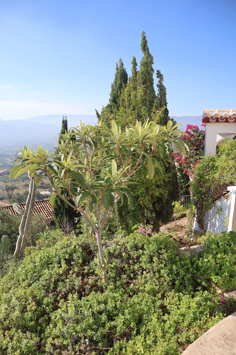 Bar/Restaurante de 2 habitaciones en Sanet i Negrals en venta - 550.000 € (Ref: 9357445)