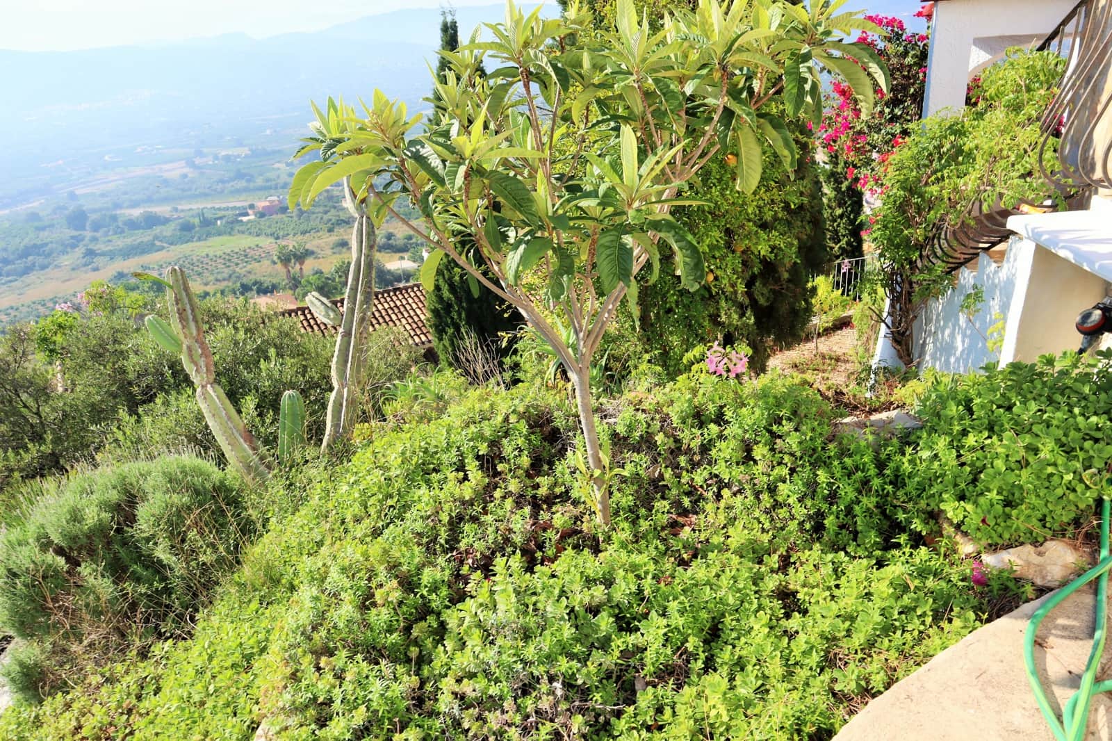 Bar/Restaurante de 2 habitaciones en Sanet i Negrals en venta - 550.000 € (Ref: 9357445)