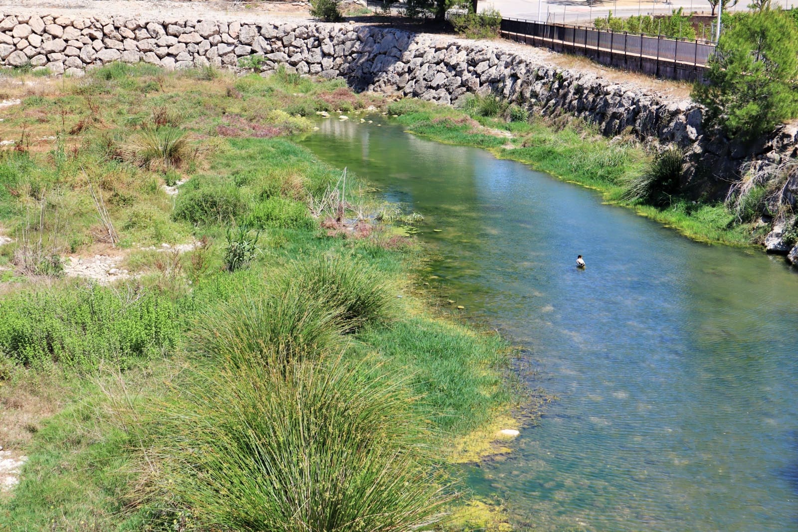 3 sovrum Bungalow att hyra i Beniarbeig - 800 € (Ref: 9386424)