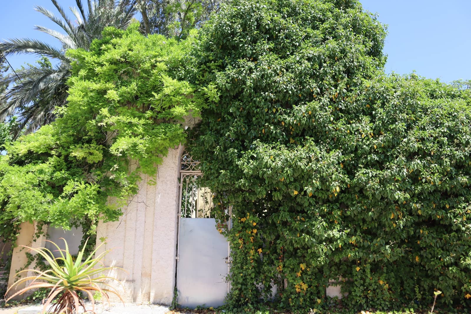 3 sovrum Bungalow att hyra i Beniarbeig - 800 € (Ref: 9386424)