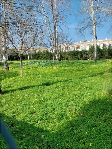 3 soveværelse Strandlejlighed til salg i El Palmar - Los Molinos, Dénia med swimmingpool garage - € 469.000 (Ref: 9558814)