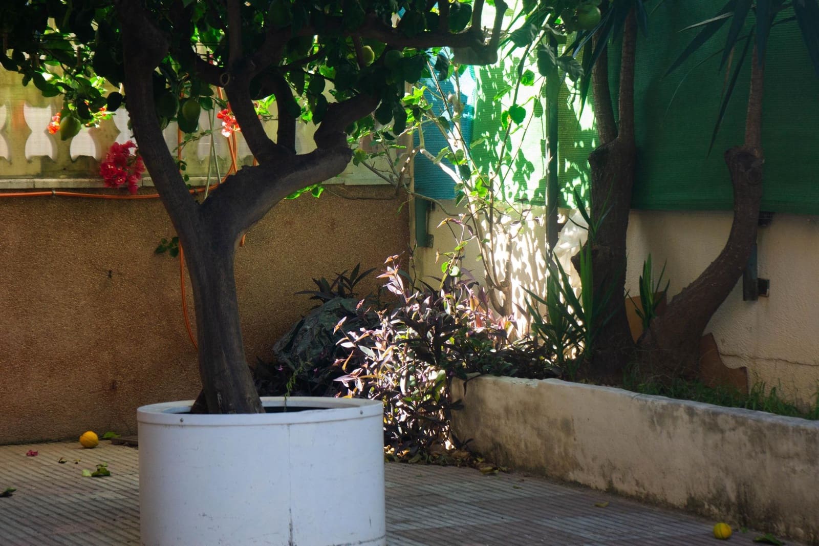 4 soveværelse Strandlejlighed til salg i Gandia med garage - € 295.000 (Ref: 8680937)