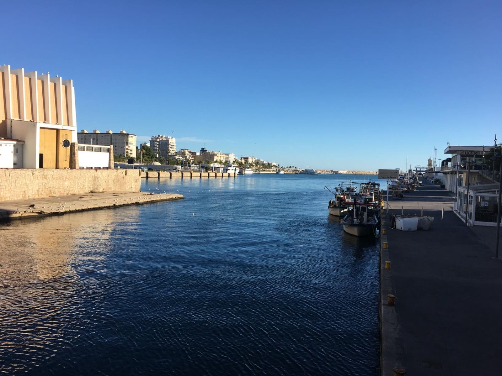 2 soverom Leilighet til leie i Gandia - € 550 (Ref: 9029826)