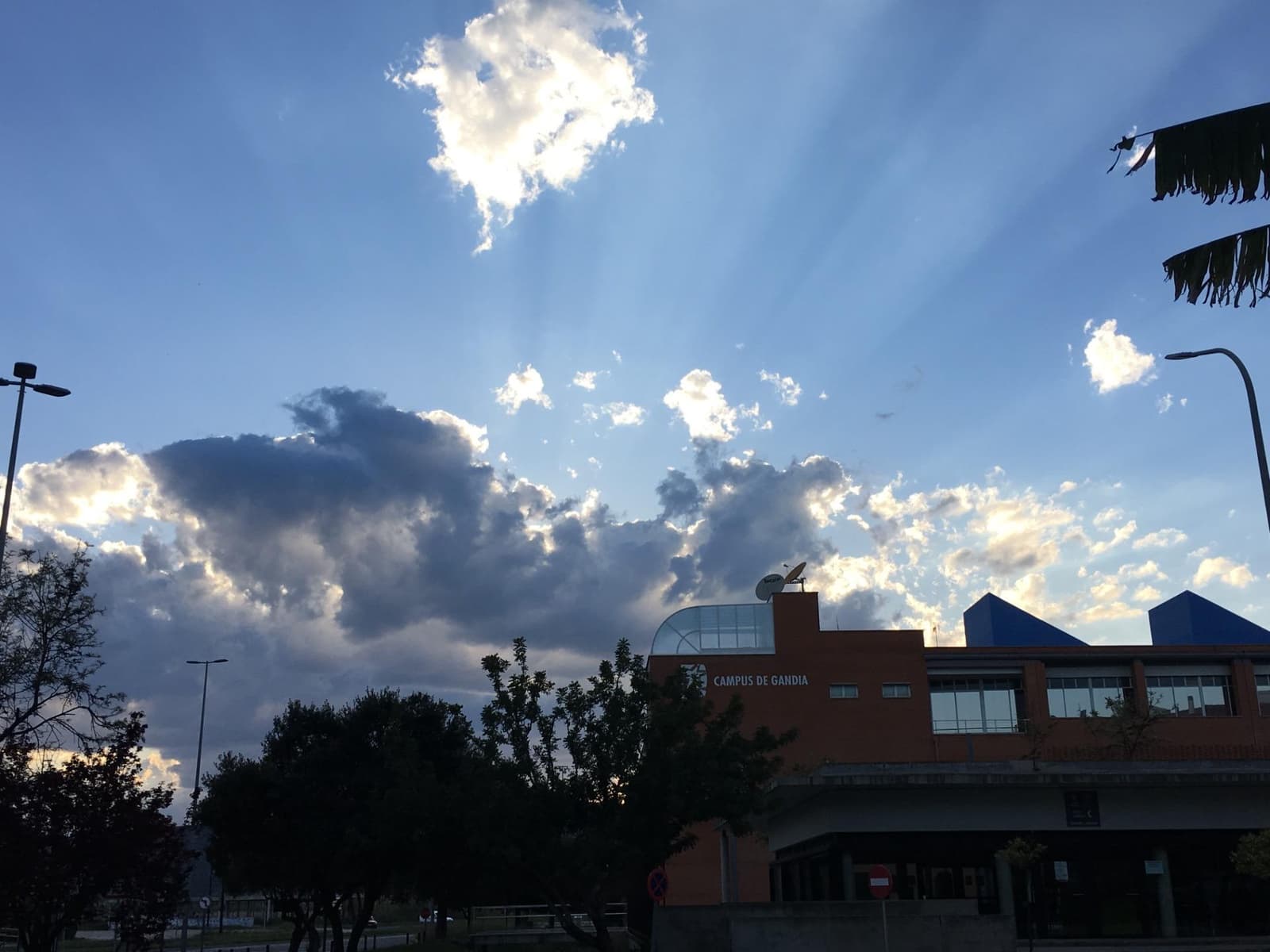 2 soverom Leilighet til leie i Gandia - € 550 (Ref: 9029826)