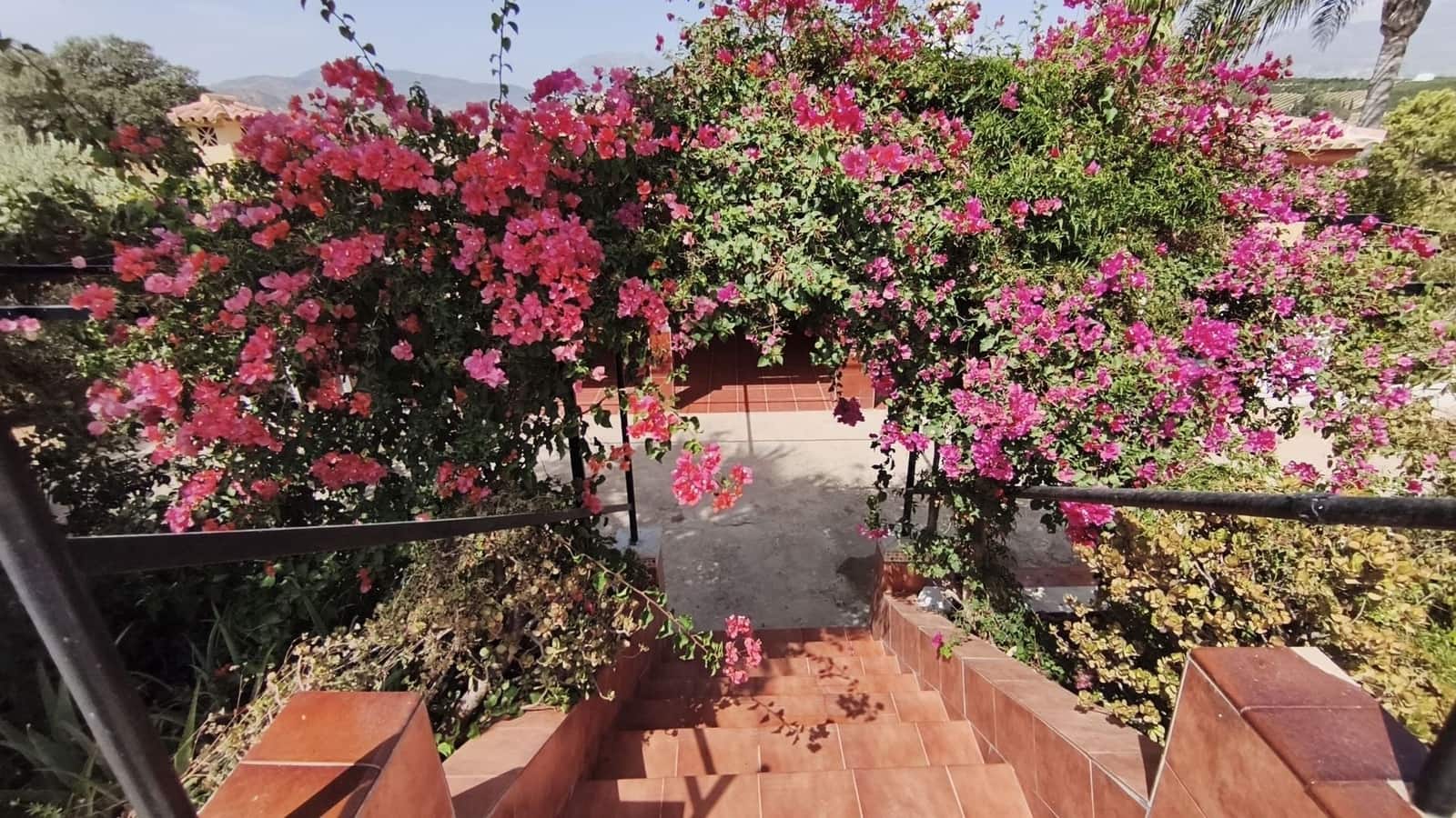 3 chambre Finca/Maison de Campagne à vendre à Coin avec piscine garage - 465 000 € (Ref: 10034470)