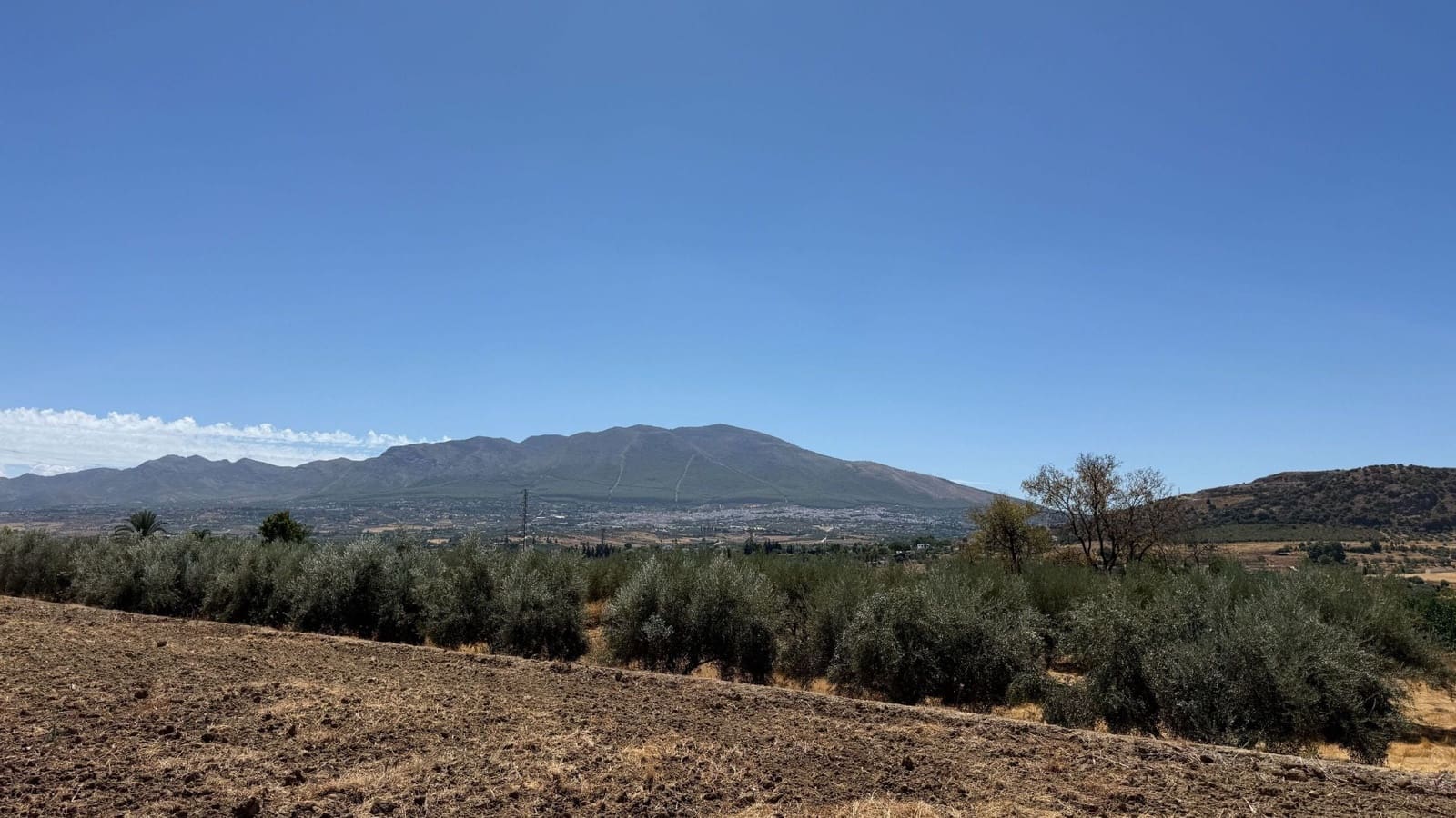 Terreno/Finca Rústica en Alhaurín el Grande en venta - 140.000 € (Ref: 10046652)