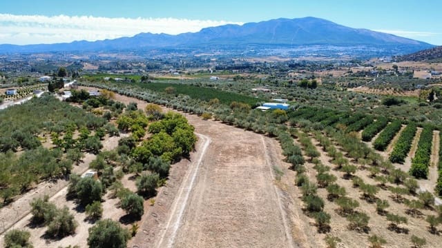 Terreno/Finca Rústica en Alhaurín el Grande en venta - 140.000 € (Ref: 10046652)