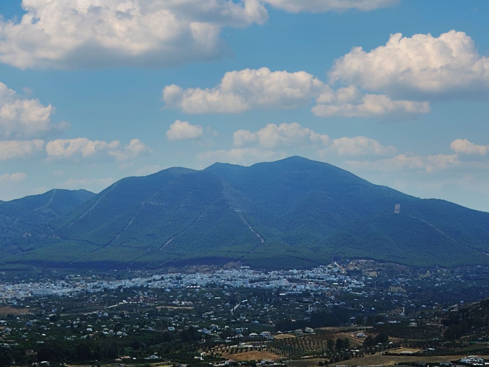 Grunde uden byggetilladelser til salg i Coin - € 125.000 (Ref: 3740142)