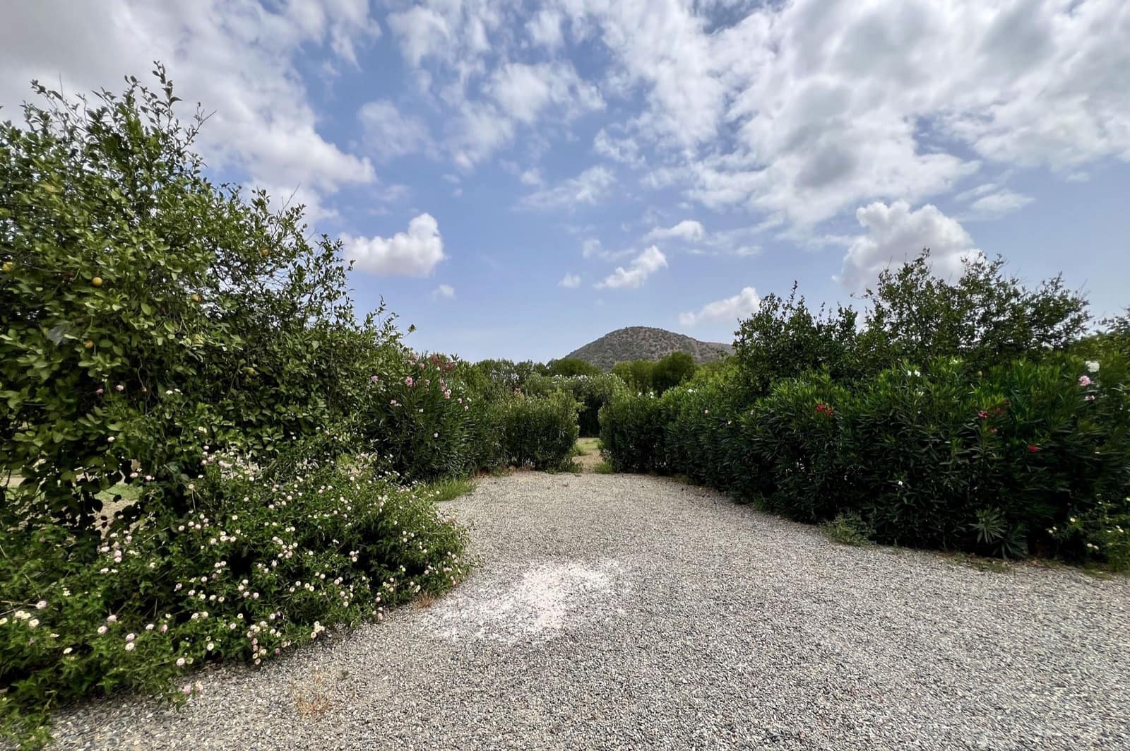 4 slaapkamer Finca/Landhuis te koop in Cartama met zwembad - € 895.000 (Ref: 673824)