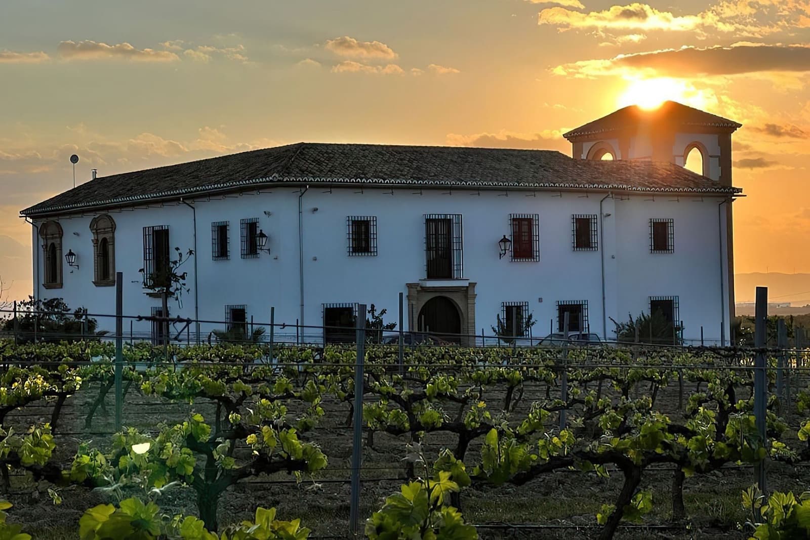 5 sypialnia Finka/Dom wiejski na sprzedaż w Antequera z basenem - 1 680 000 € (Ref: 7558234)