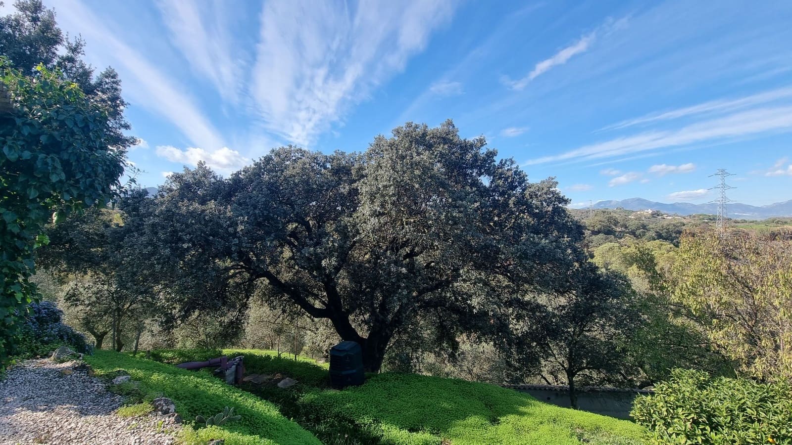 5 soveværelse Finca/Landehus til salg i Alhaurin el Grande med swimmingpool - € 550.000 (Ref: 7627876)