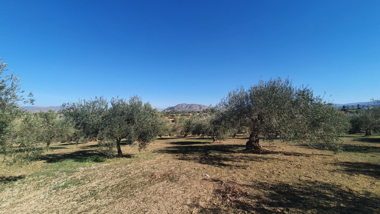 Grond te koop in Alhaurin el Grande - € 85.000 (Ref: 7935471)