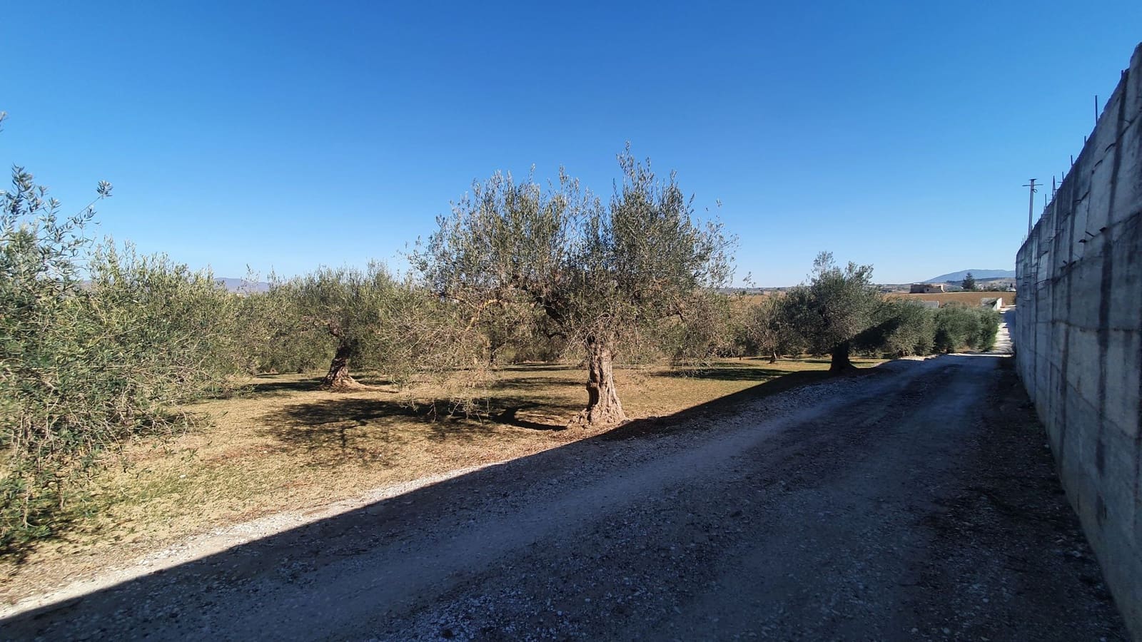 Grond te koop in Alhaurin el Grande - € 85.000 (Ref: 7935471)